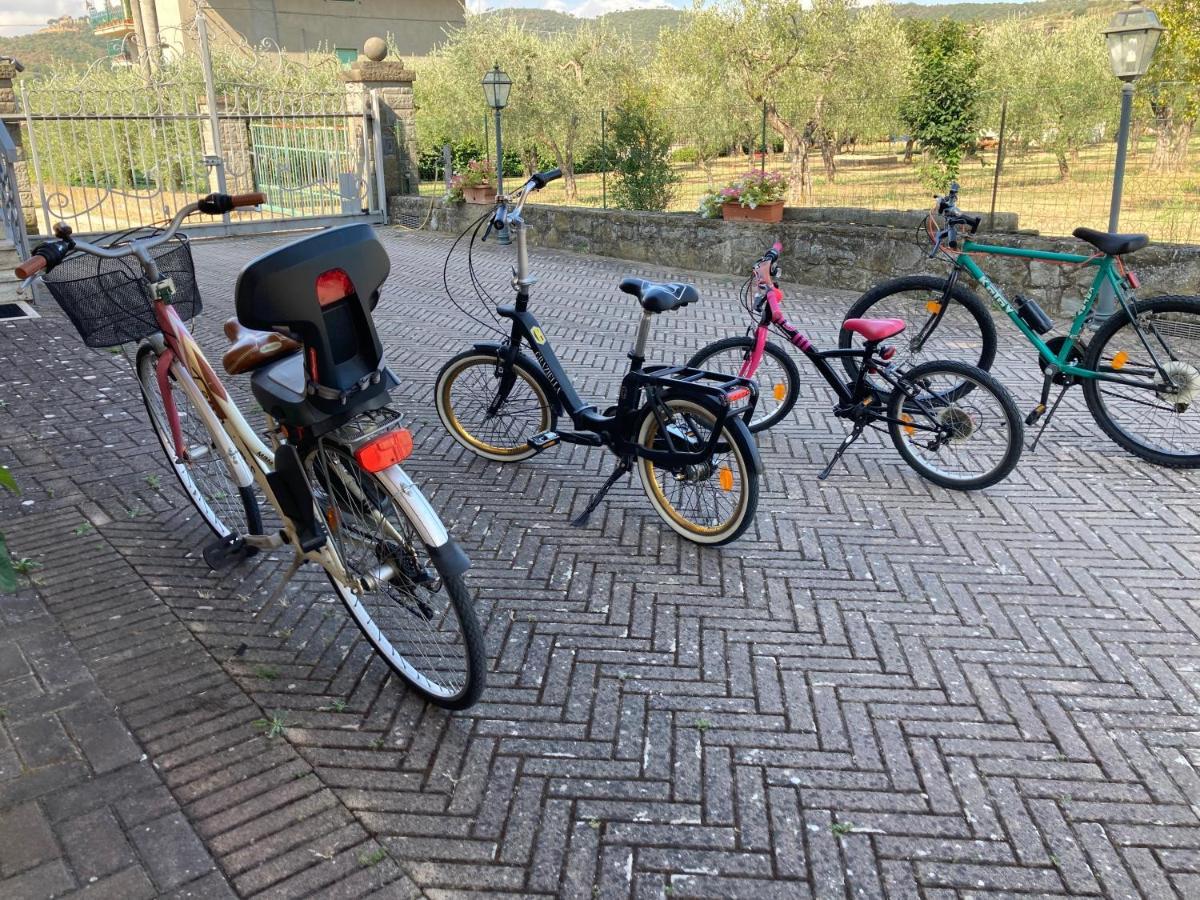 Le Coccole Del Trasimeno ξενώνας Tuoro sul Trasimeno Εξωτερικό φωτογραφία