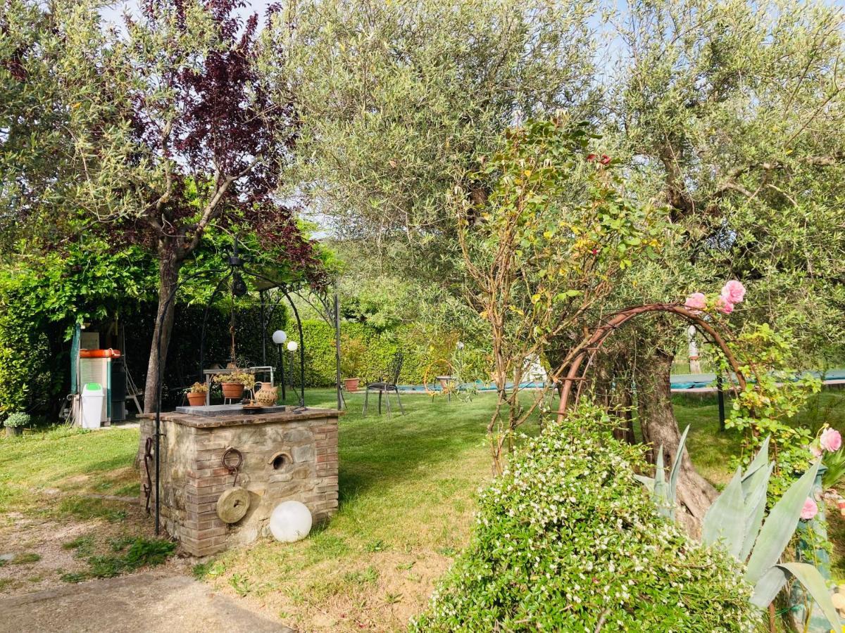 Le Coccole Del Trasimeno ξενώνας Tuoro sul Trasimeno Εξωτερικό φωτογραφία