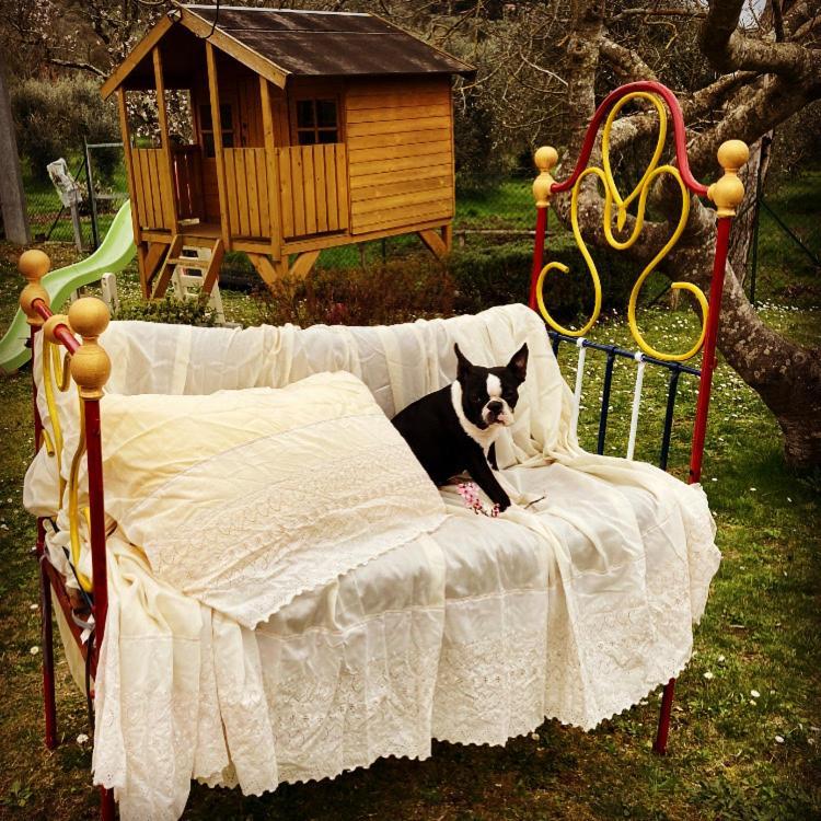 Le Coccole Del Trasimeno ξενώνας Tuoro sul Trasimeno Εξωτερικό φωτογραφία