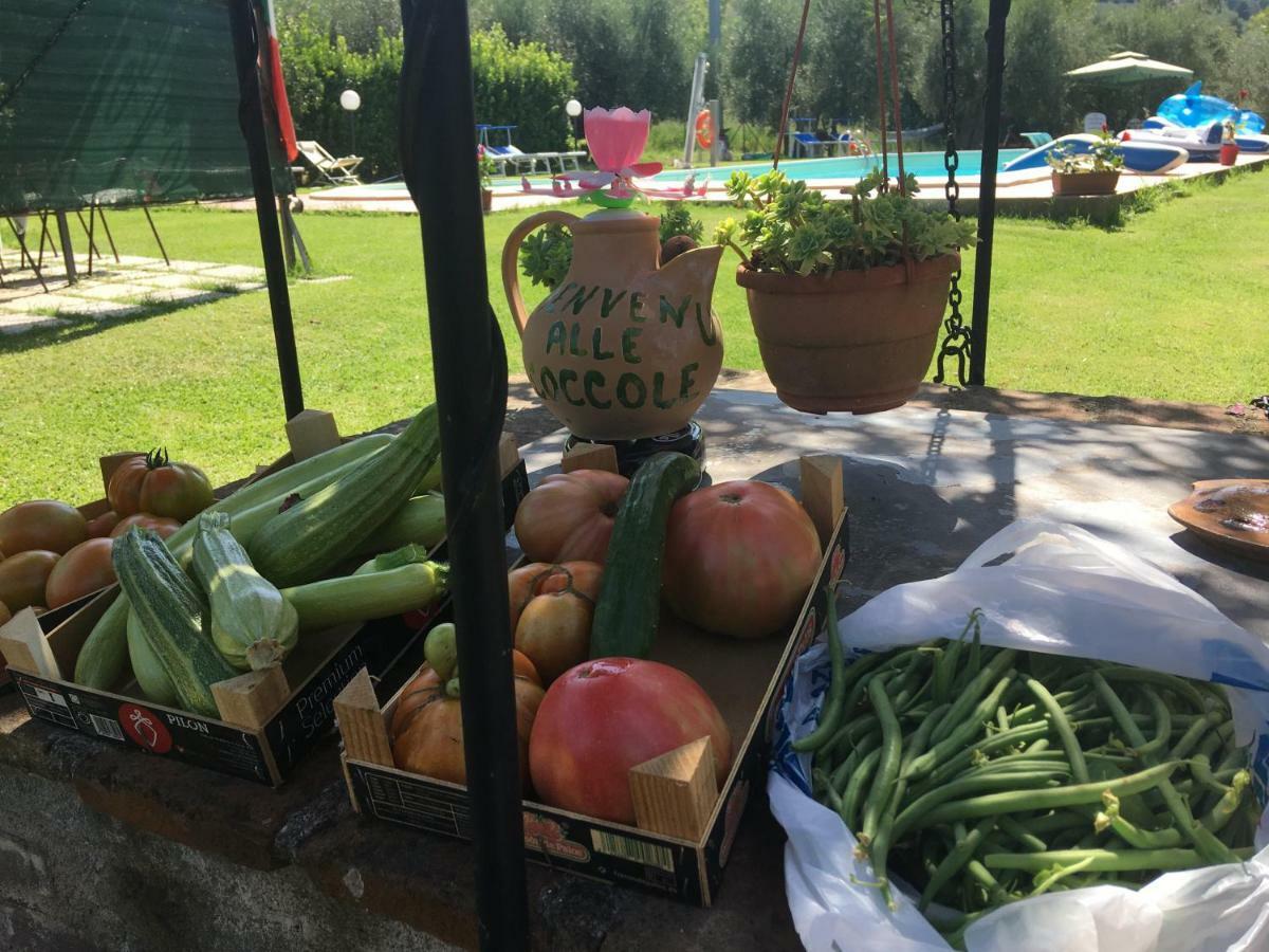 Le Coccole Del Trasimeno ξενώνας Tuoro sul Trasimeno Εξωτερικό φωτογραφία