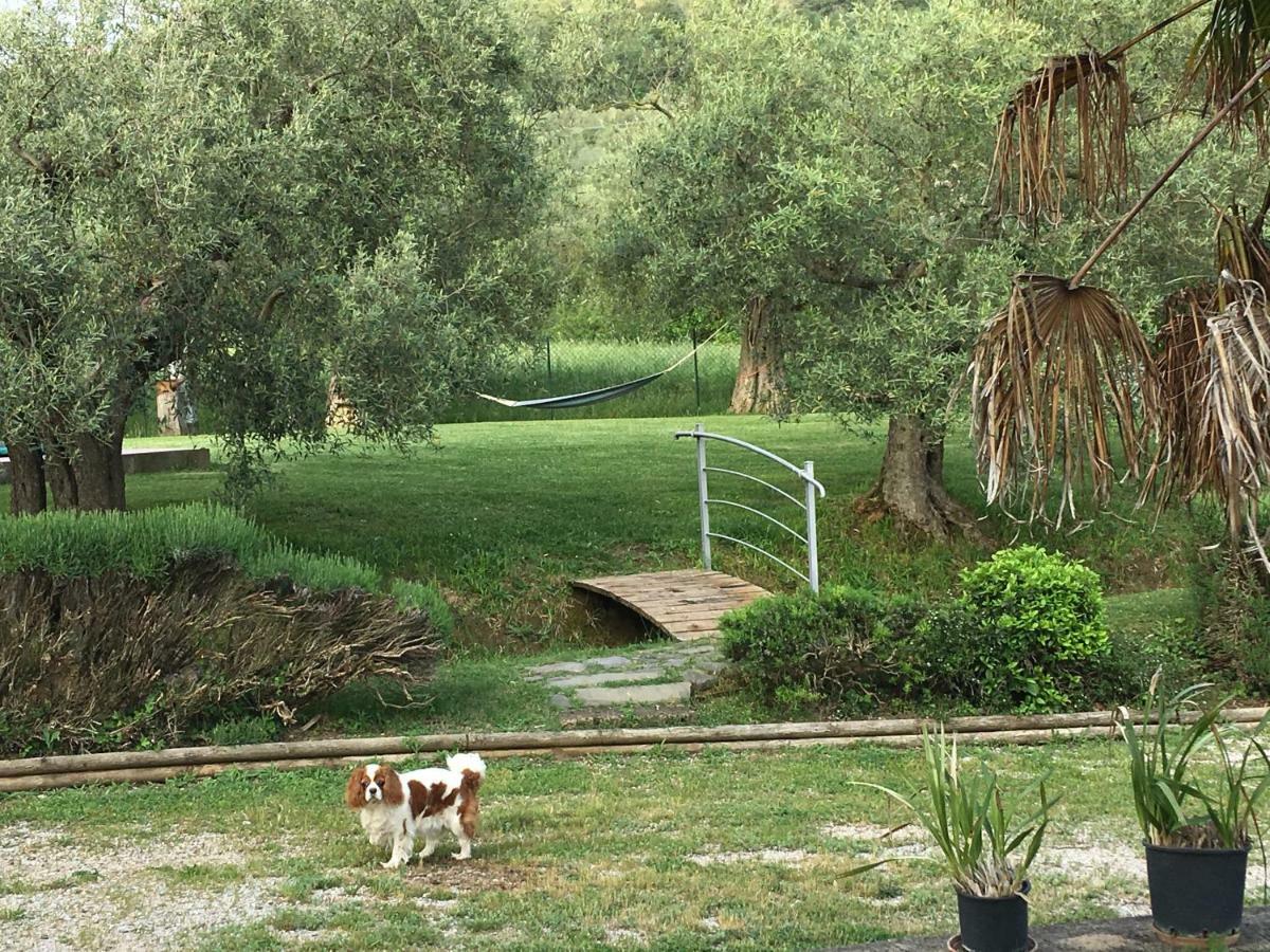 Le Coccole Del Trasimeno ξενώνας Tuoro sul Trasimeno Εξωτερικό φωτογραφία