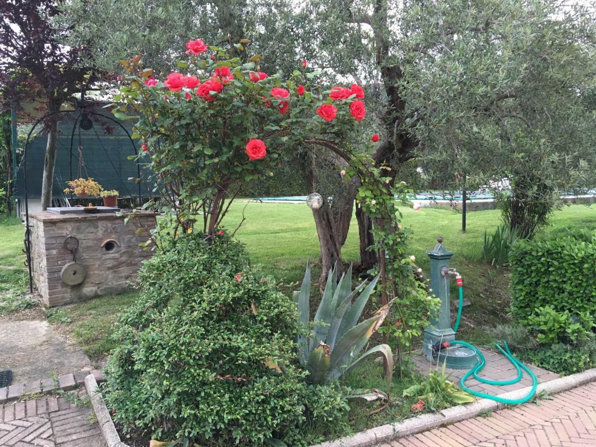 Le Coccole Del Trasimeno ξενώνας Tuoro sul Trasimeno Εξωτερικό φωτογραφία
