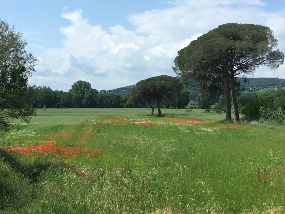 Le Coccole Del Trasimeno ξενώνας Tuoro sul Trasimeno Εξωτερικό φωτογραφία